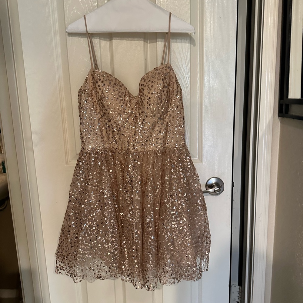 Windsor Sequined Dress